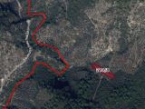 İzmir bayındırda 2 dönüm fırsat zeytinlik 