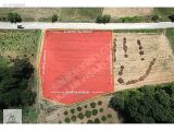 ORGANİZE SANAYİ SINIRINDA 2.620 m2 YOLA CEPHE YATIRIMLIK TARLA