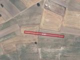 OĞULPAŞA KÖYÜNDE 1.165 M2 TARLA