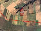 TEKİRDAĞ MALKARA MÜSTAKİL TEK TAPU 5900 M2 YATIRIMLIK TARLA VASIFLI ARAZİ 