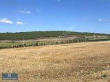 TEKİRDAĞ ÇORLU HATİPTE MAHALLESİNDE 258m2 den 255.000 TL BAŞLAYAYAN FİYATLARLA YENİ PARSELLERİMİZ SATIŞA SUNULMUŞTUR