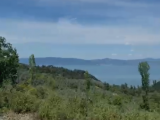BURSA İZNİK MÜŞKÜLE KÖYÜ'NDE 417 M2 YOLU VE SUYU OLAN SATILIK TEK TAPU ZEYTİNLİK
