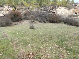 BURSA KELES KEMALİYE'DE 3.125 M2 ORHANELİ ÇAYI'NA CEPHE SUYU OLAN TEK TAPU SATILIK TARLA