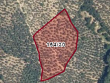 BURSA GEMLİK CİHATLI'DA 10.436 M2 TOKİ-HASTANE-OTOYOL ÜÇGENİNDE FIRSAT SATILIK ZEYTİNLİK 