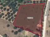 BURSA KELES EPÇELER'DE SUYU VE RESMİ YOLU OLAN 2.291 M2 TEK TAPU SATILIK TARLA