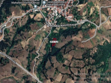 BURSA OSMANGAZİ GÜNEYBUDAKLAR'DA KÖYE VE YOLA ÇOK YAKIN 1.594 M2 TEK TAPU SATILIK KIZILCIK BAHÇESİ