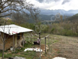 BURSA OSMANGAZİ BÜYÜKDELİLLER'DE 2.670 M2 TEK TAPU KADASTRO YOLU VE SUYU OLAN SATILIK TARLA