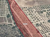 BURSA MUDANYA ÇEPNİ'DE 7.552 M2'NİN 300 M2'Sİ KADASTRO YOLU OLAN SATILIK ZEYTİNLİK