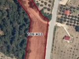 BURSA MUDANYA DEREKÖY'DE 3.776 M2 RESMİ YOLA CEPHE ELEKTRİK VE SU DİBİNDE TEK TAPU SATILIK TARLA