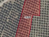  BURSA NİLÜFER KONAKLI'DA 5.200 M2 İÇİNDE 150 ADET ZEYTİN AĞACI OLAN TEK TAPU SATILIK TARLA