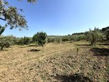Gemlik umurbey acısular Mevkii asfalta cephe 2750 m2