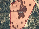 KÜTAHYA HİSARCIK ALIN ÖREN'DE 14.036 M2 TEK TAPU ORMAN YOLUNA CEPHE SATILIK TARLA