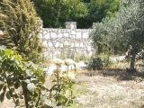 Sarayköy Bala Mh. Gedikli Çay'da Kaçırılmayacak Fırsat!