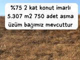 TEKİRDAĞ ŞARKÖY DENİZ VE ADA MANZARALI 5.307M2 İMARLI SATILIK