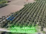 BURSA NİLÜFER KONAKLI'DA 4.800 M² ANAYOLA CEPHE ELEKTRİK HATTINA YAKIN SATILIK TEK TAPU TARLA