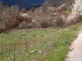 BURSA OSMANGAZİ BAĞLI'DA 1412 M2 KADASTRO YOLUNA CEPHE TEK TAPU SATILIK TARLA