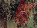 BURSA OSMANGAZİ KİRAZLI'DA DÖNÜMÜ 1.000.000 TL 2.950 M2 TEK TAPU SATILIK KUPON TARLA