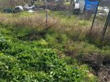  BURSA YENİŞEHİR YENİMARMARACIK'TA 240 M2 YOL, SU VE ELEKTRİK OLAN SATILIK HOBİ BAHÇESİ