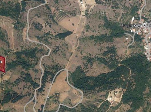 Bursa Osmangazi Uluçam Köyü’nde Satılık Tarla Hissesi