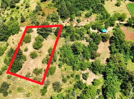 Bursa Osmangazi Uluçam Köyü’nde Satılık Tarla Hissesi