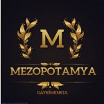 MEZOPOTAMYA GAYRİMENKUL