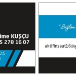 Aktif Gayrimenkul